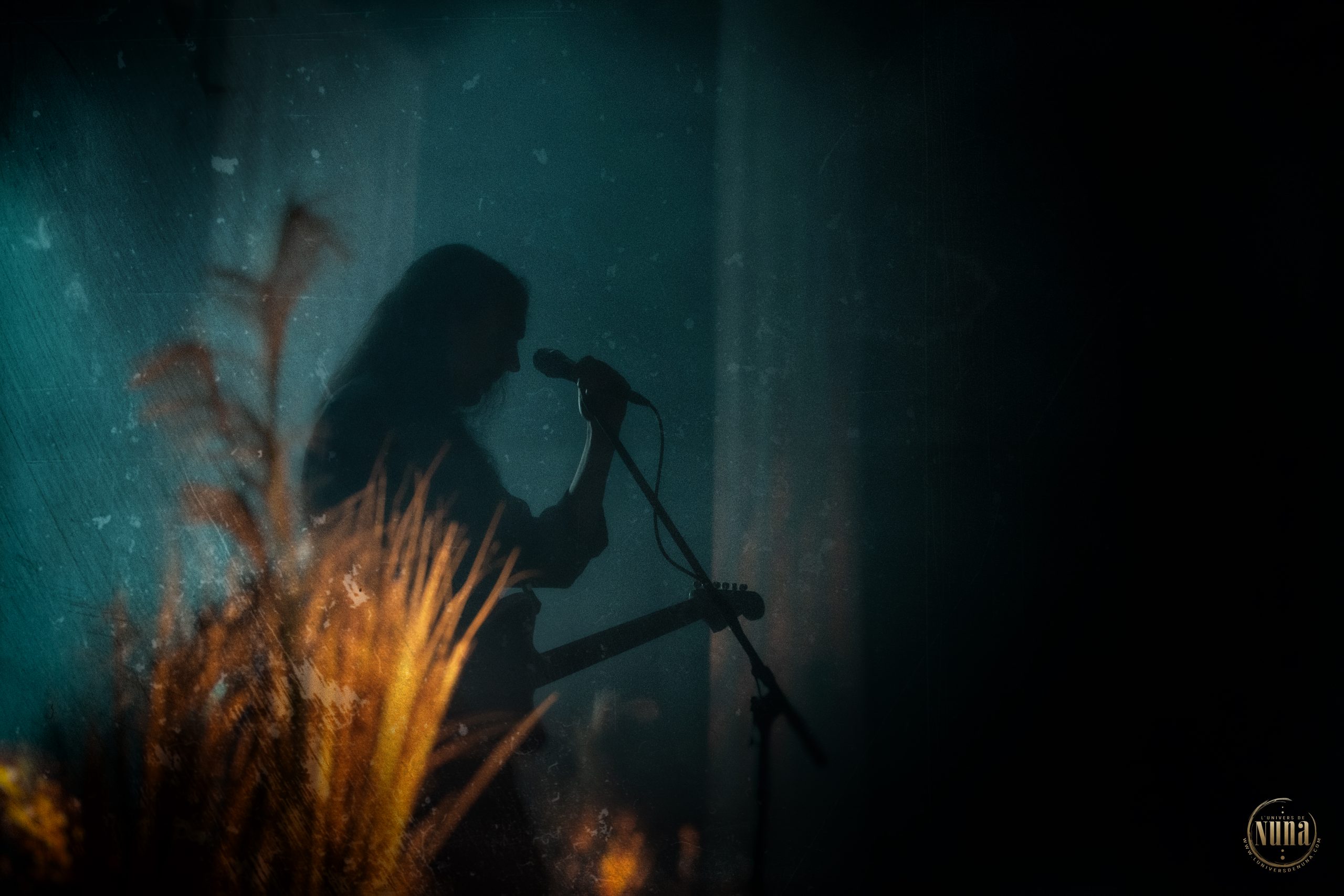 Photographies du grouep Alcest à l'Olympia, Paris, Fr