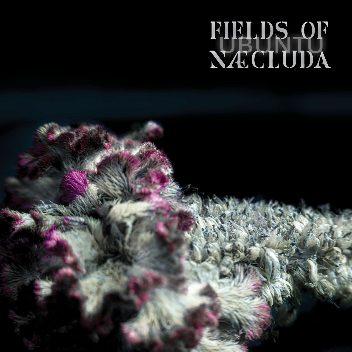 Fields of Næcluda - UBUNTU